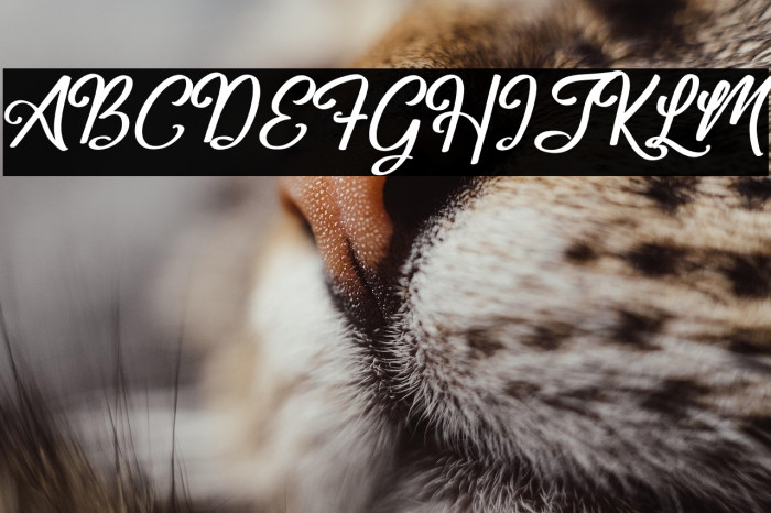 Frederick Alexander Example 2