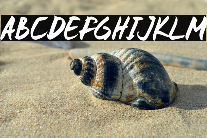 Frederick Greatong Example 2