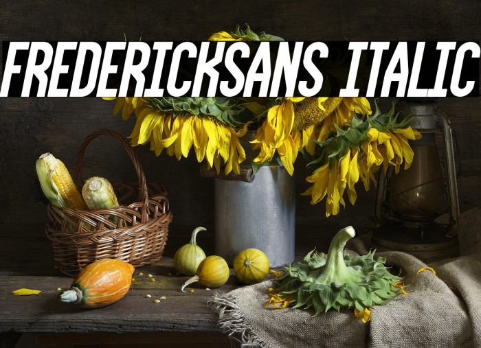 FrederickSans Italic Example 2
