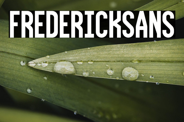 FrederickSans Example 2