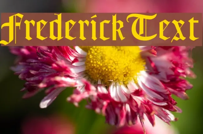 FrederickText Example 3