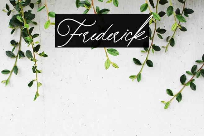 Frederick Example 3