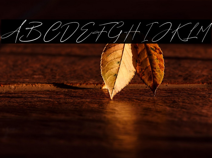 Fredericy Free For Personal Use Example 1