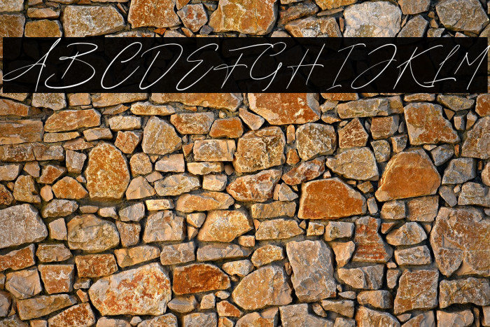 Fredericy Free For Personal Use Example 2