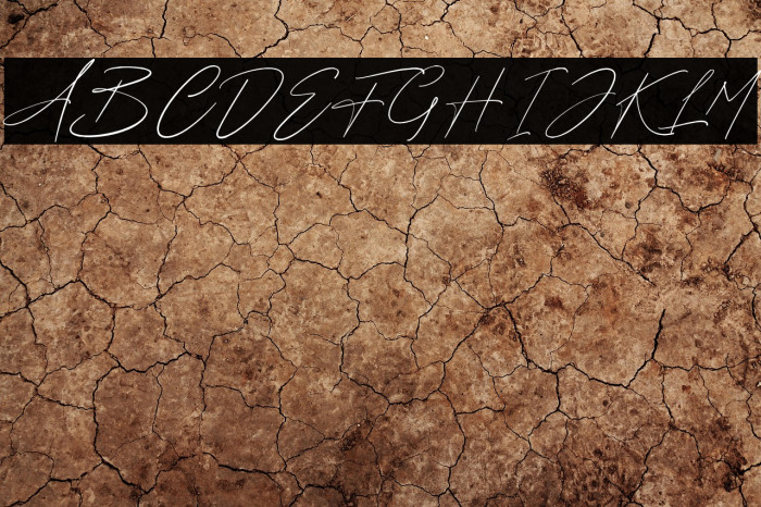 Fredericy Free For Personal Use Example 3