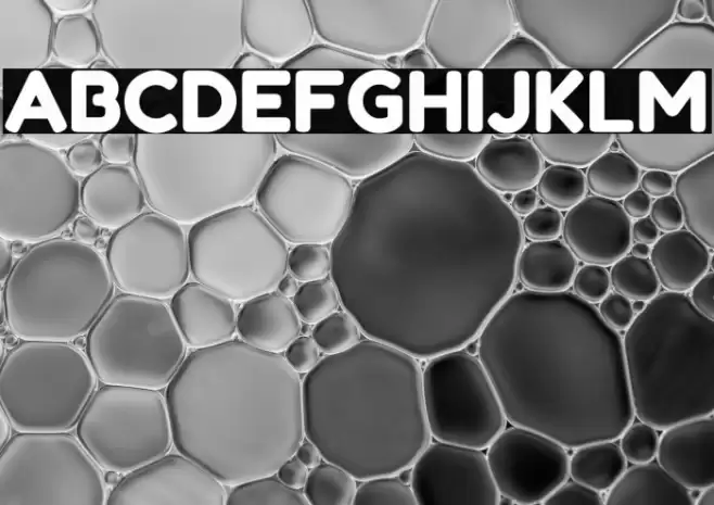 Fredoka One Regular Font examples