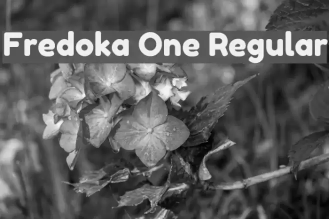 Fredoka One Regular Font examples