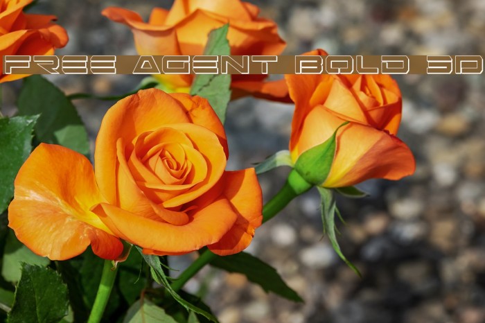 Free Agent Bold 3D Schriftart examples