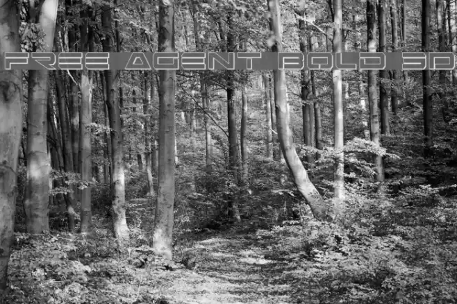 Free Agent Bold 3D Schriftart examples