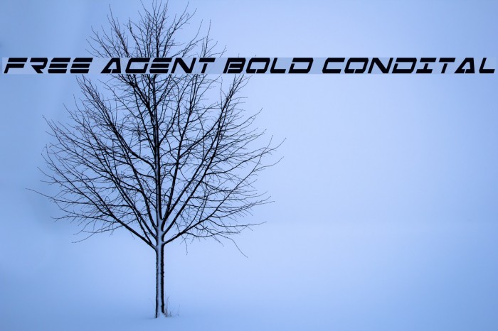 Free Agent Bold CondItal Schriftart examples