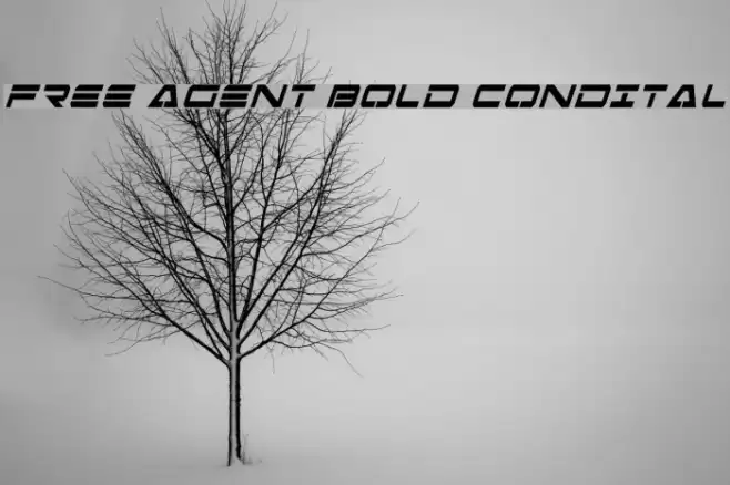 Free Agent Bold CondItal Schriftart examples