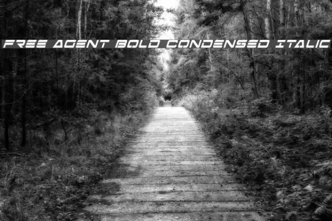 Free Agent Bold Condensed Italic Font examples