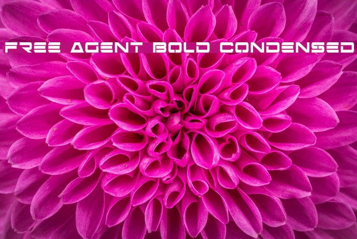 Free Agent Bold Condensed Font examples