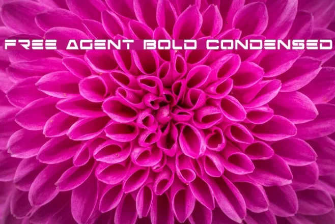 Free Agent Bold Condensed Example 3