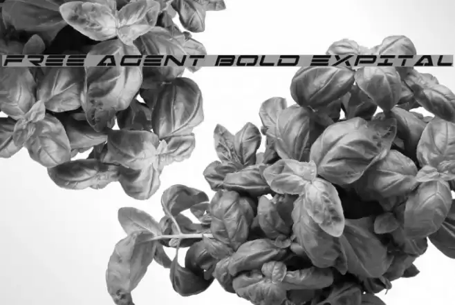 Free Agent Bold ExpItal Schriftart examples