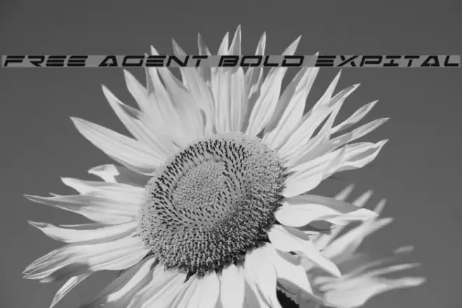 Free Agent Bold ExpItal Schriftart examples