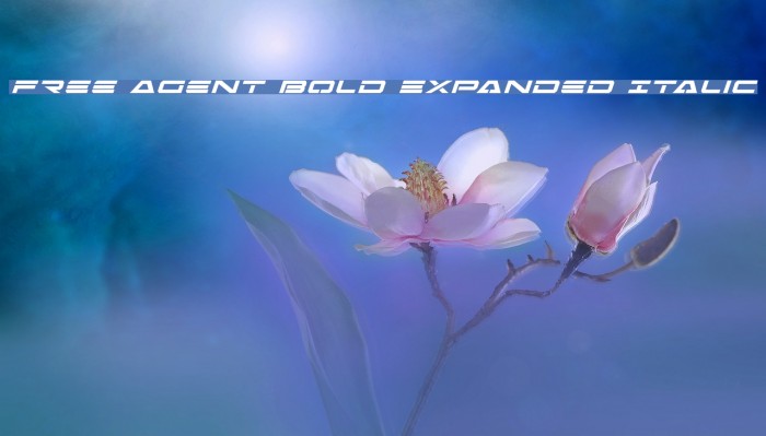 Free Agent Bold Expanded Italic Font examples