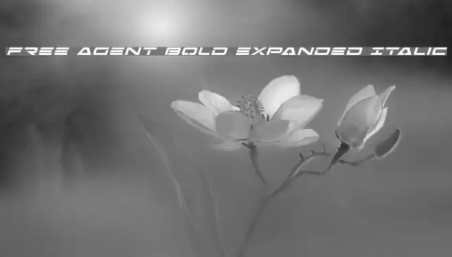 Free Agent Bold Expanded Italic Font examples