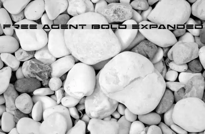 Free Agent Bold Expanded Schriftart examples