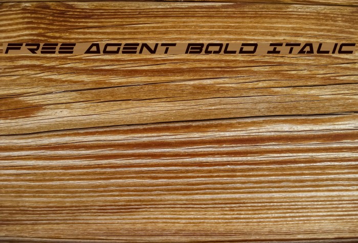 Free Agent Bold Italic Schriftart examples