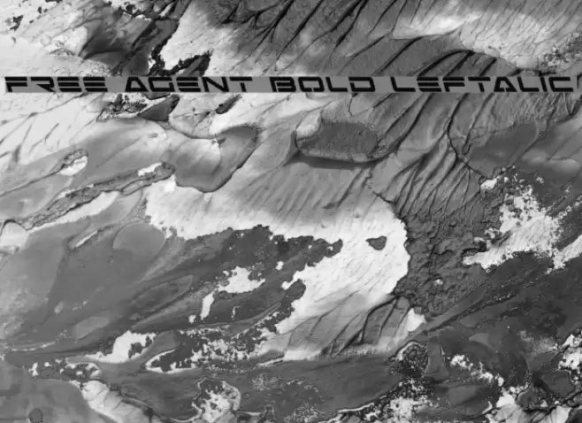 Free Agent Bold Leftalic Polices examples