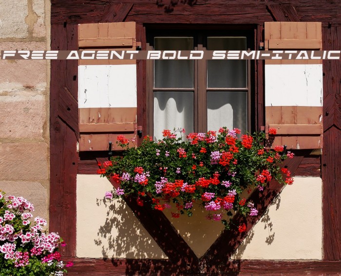Free Agent Bold Semi-Italic Font examples