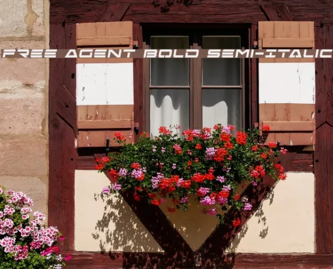 Free Agent Bold Semi-Italic Example 2