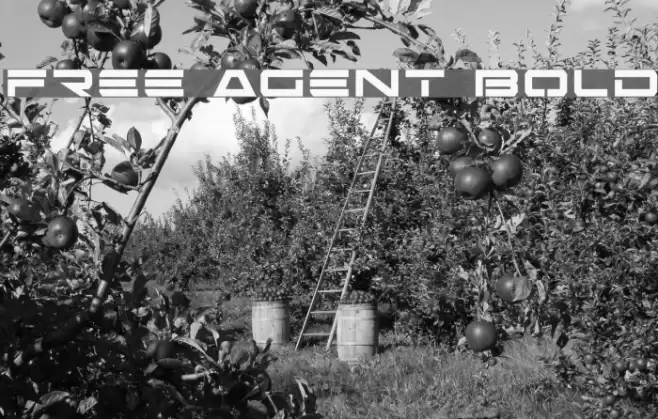 Free Agent Bold Font examples