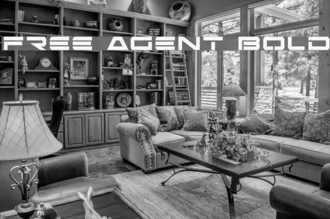 Free Agent Bold Font examples