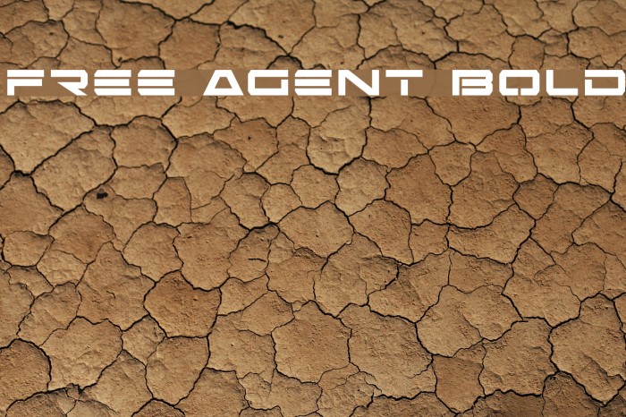 Free Agent Bold Font examples