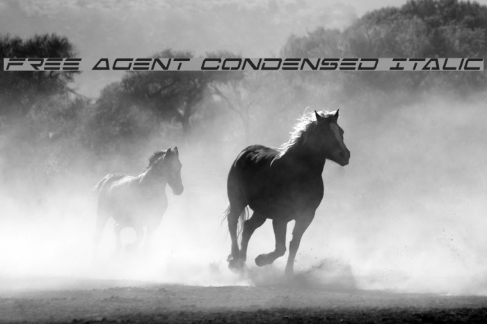 Free Agent Condensed Italic Font examples