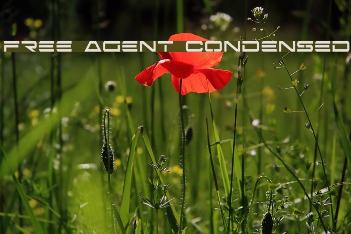 Free Agent Condensed Font examples
