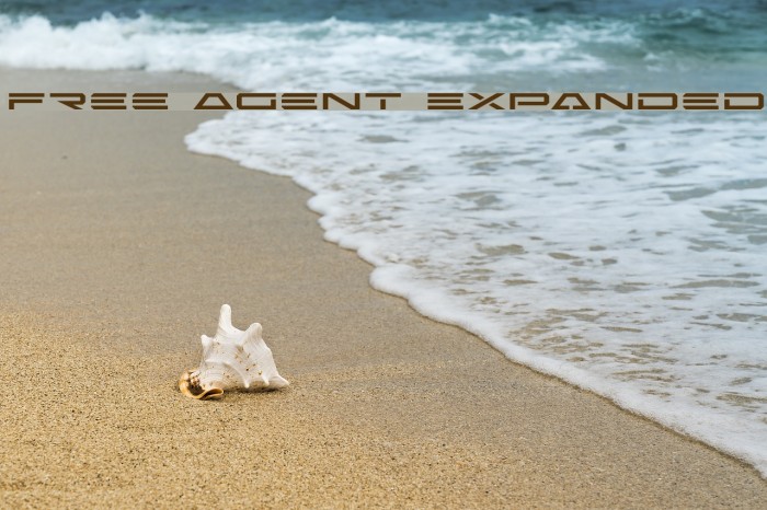 Free Agent Expanded Font examples