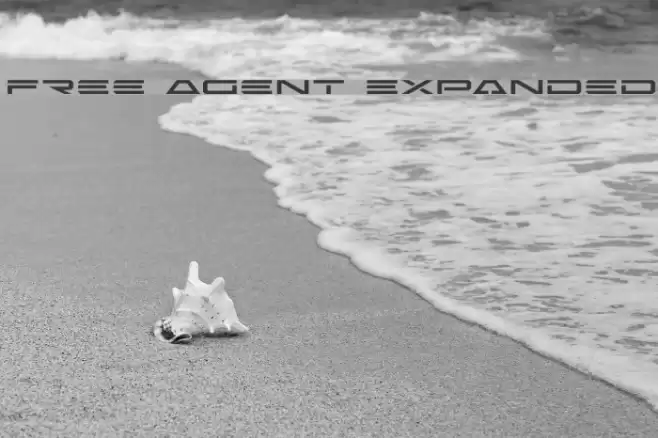 Free Agent Expanded フォント examples
