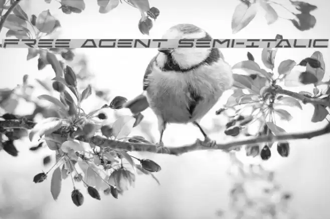 Free Agent Semi-Italic Font examples