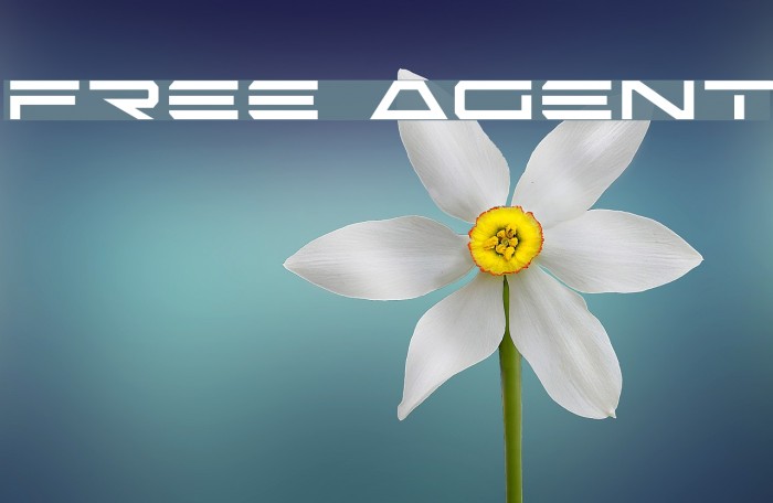 Free Agent Font examples