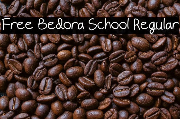 Free Bedora School Regular Example 2