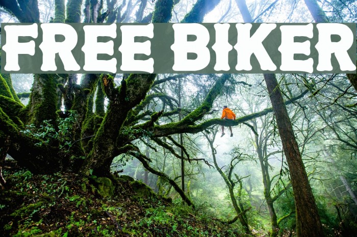 Free Biker Font examples