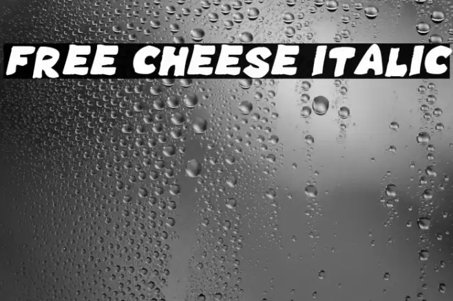 Free Cheese Italic 字体 examples