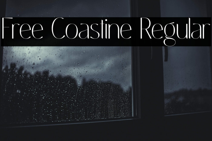 Free Coastine Regular Example 3