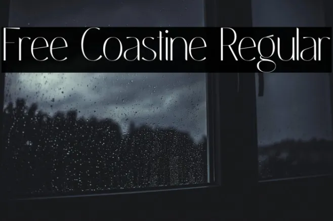 Free Coastine Regular Example 3