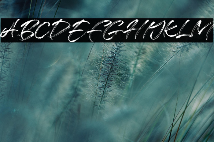 Free License Example 1