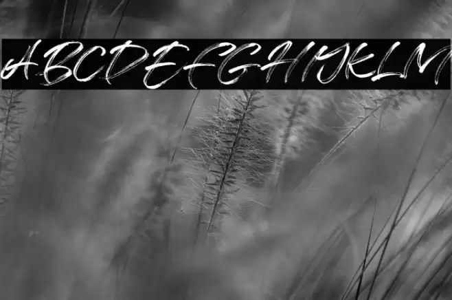 Free License Font examples