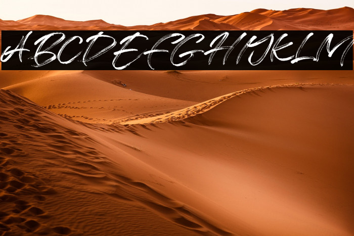 Free License Example 3