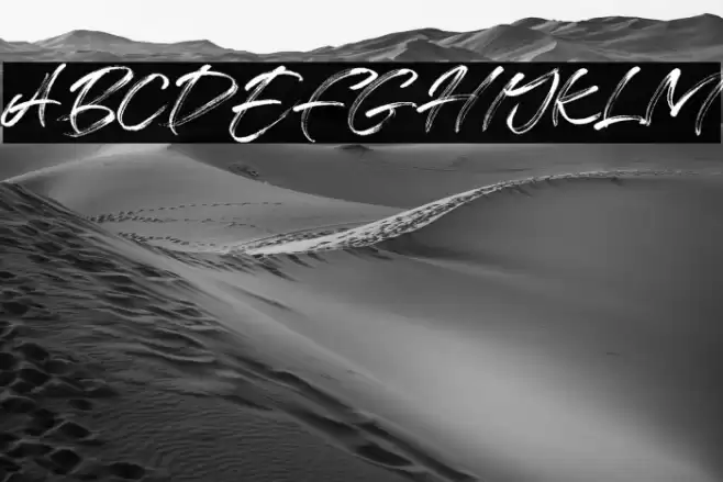 Free License Font examples