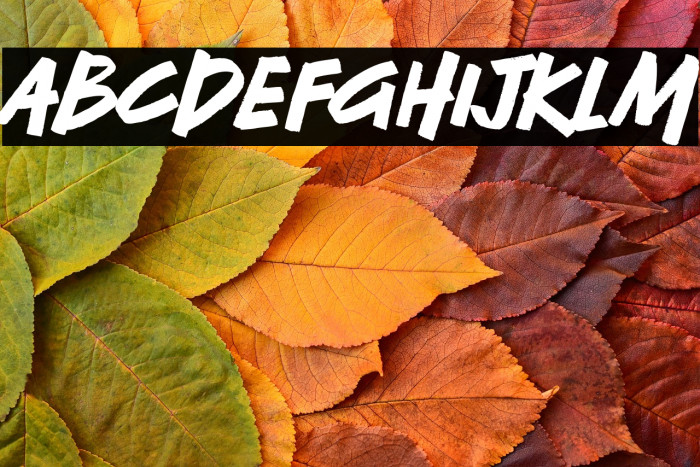 Free Minded Example 2