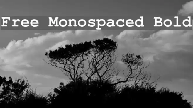 Free Monospaced Bold Font examples