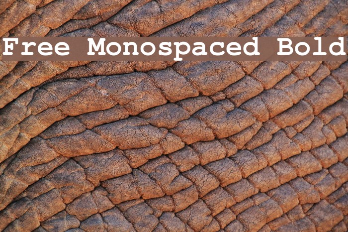 Free Monospaced Bold Example 3