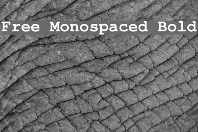 Free Monospaced Bold Font examples