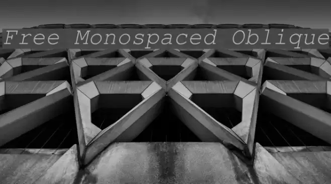 Free Monospaced Oblique Font examples